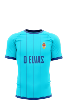 Option 2