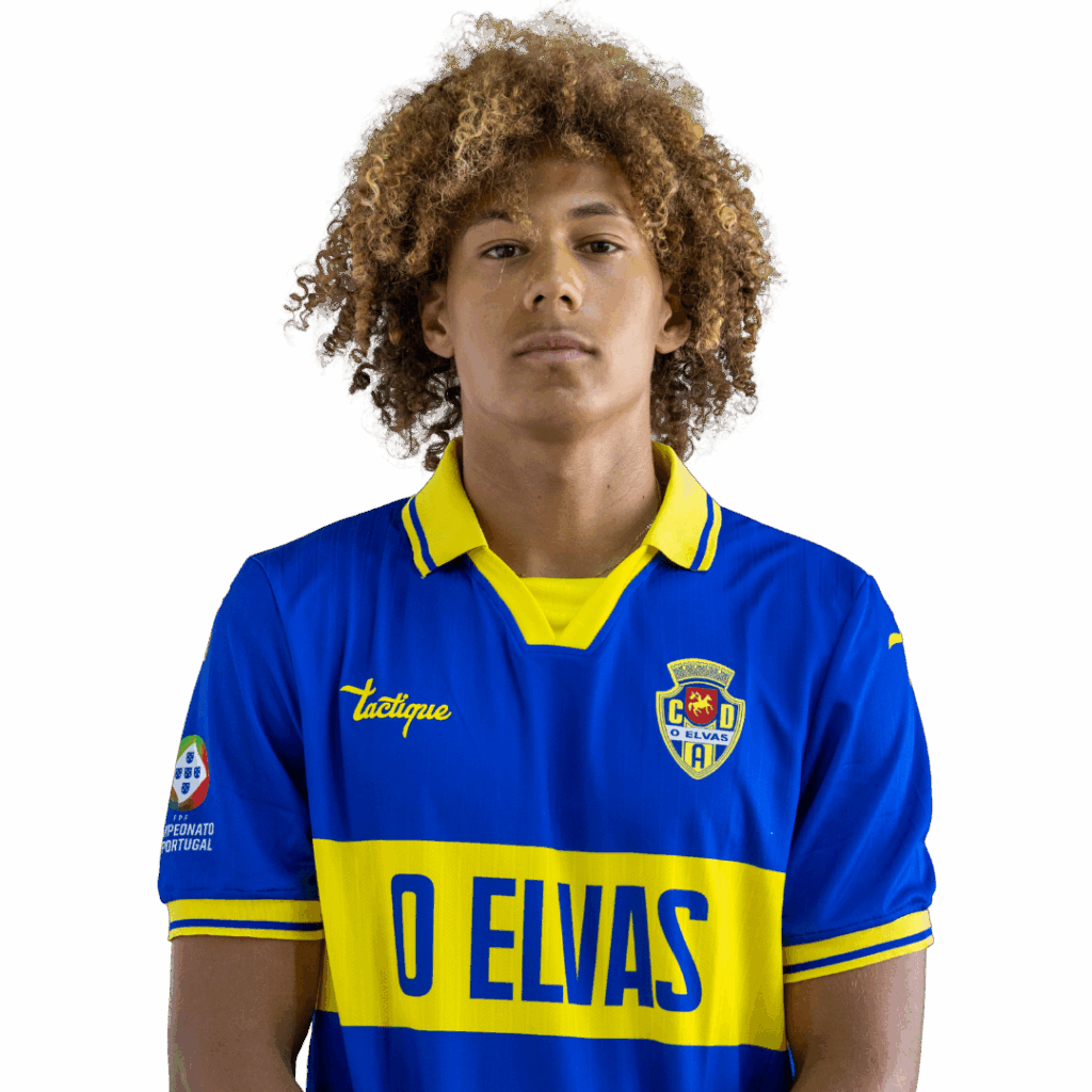 <strong class="sp-player-number">16</strong> David Fernandes